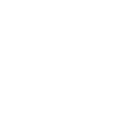 icon-minera